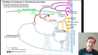 Les hybridations des humains au Pleistocène [upl. by Laurice]