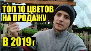 ТОП 10 однолетних цветов на продажу в маеиюне [upl. by Crispas]