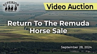 Return to the Remuda Horse Sale [upl. by Bette-Ann]