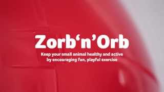 Small Pet Toy  ZorbnOrb Exercise Ball [upl. by Yznel341]