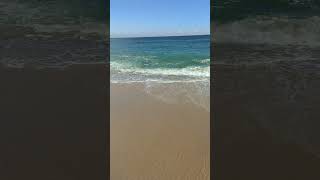 ASMR Ocean Waves Loop  Shy Trips [upl. by Norb]