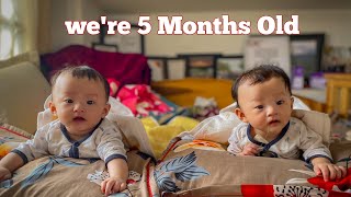 Family vlog EP 1  Twins 5 Months Vlog  northeastindia familyvlog [upl. by Roice]