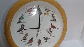 National Audubon Society bird clock [upl. by Farrica]