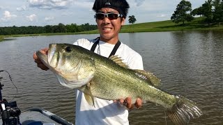 HUMONGOUS Bass on Spinnerbaits Fishing in Texas ft LunkersTV [upl. by Izabel]