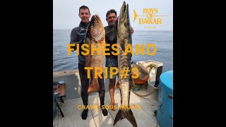 🥈CHASSE SOUS MARINE  FISHES ET TRIP3  MAJCAAM  BOYS OF DAKAR  Ep281 [upl. by Kyd]