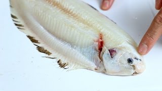 HOW TO PREPARE AND COOK quotDOVER SOLEquot FISH  CLASSIC FRENCH MEETS JAPANESE  COOKING WITH CHEF DAI [upl. by Eelhsa93]