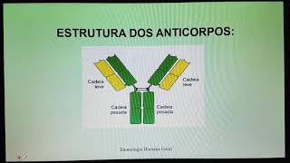 IMUNOLOGIA Anticorpos parte 1 [upl. by Novyart576]