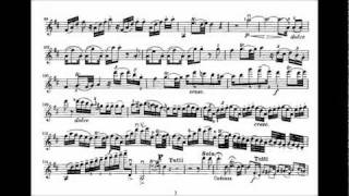 Mozart Wolfgang A 2nd violin concerto KV 211 [upl. by Iemaj]