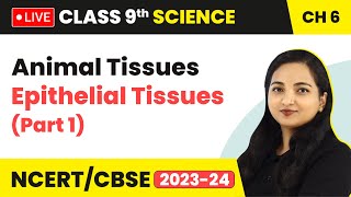 Animal Tissues  Epithelial Tissues Part 1  Class 9 Science Chapter 6 LIVE [upl. by Anierdna]