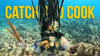 Poseidon Spearfishing Catch amp Cook [upl. by Yhtac564]