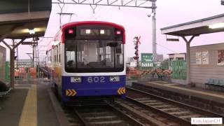 阪堺電車 ちんちん電車 阪堺電気軌道 アドベンチャーワールドパンダ Tram Japan [upl. by Atinek]