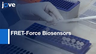 FRETForce Biosensors To Measure Mechanical Forces Across Nuclear LINC Complex l Protocol Preview [upl. by Almeta]