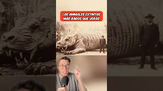 Los animales extintos más raros que verás 😱 shorts [upl. by Robinet232]