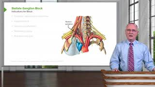 Stellate Ganglion Block – Head amp Neck Anatomy [upl. by Ritter]