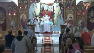 Archangel Michael and St Misael the Anchorite Live Stream [upl. by Takeo102]