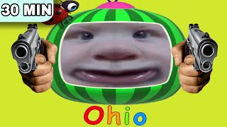 Cocomelon from OHIO  BIG COMPILATION  try to not LAUGH 5 [upl. by Lexi]