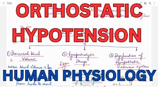 Postural or Orthostatic Hypotension causes of hypotension  CVS [upl. by Birch569]