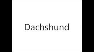 How to Pronounce Dachshund [upl. by Yarezed]