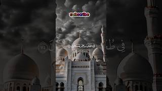 surah muminun سورہ المومنون relaxingsounds quranrecition short muslim islamicprayer [upl. by Nylissej]