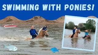 Swimming bareback with ponies My Pony Popcorn goes for a swim  SO FUN  FALL OFF  FOREST RIDE [upl. by Herwin]