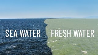 Fresh Water Meets Sea Water – Boundary Explained [upl. by Sanjay834]