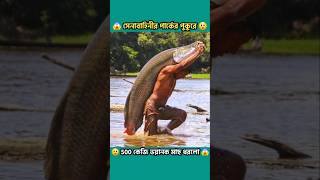 সেনাবাহিনীর পার্কে 500 KG ভয়ানক মাছ ধরলো 😲  Amazing Big Fishing shorts fishing amazingfacts [upl. by Marjy]