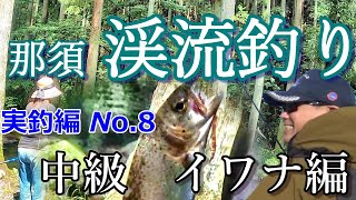 【大漁】『那須フィッシュランドへ行って来た！』実釣編⑧渓流釣り～イワナ・ヤマメがバンバン釣れて楽しい。 [upl. by Reffinej]