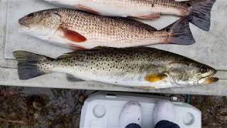 Steinhatchee FL fishing for Redfish and Trout in early February  John Sims Cooper City [upl. by Yborian]