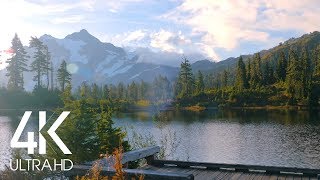 8 Hours of Birds Singing on the Lakeshore and Water Sounds  Relaxing Nature Sounds  Mount Shuksan [upl. by Koal]