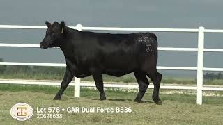 Lot 578 G A R Dual Force B336 [upl. by Edivad499]