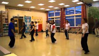 28 Step Yang Style Form  Phoenix Tai Chi London [upl. by Fran]