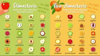 CLIMACTERIC AND NON CLIMACTERIC FRUIT [upl. by Aremaj424]