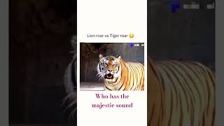 Lion Roar vs Tiger Roar😱animals kids safari lionsound tigersound zoo [upl. by Deys]