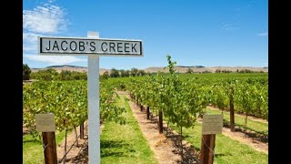 Jacobs Creek wine tasting Barossa Valley South Australia [upl. by Aneeb]