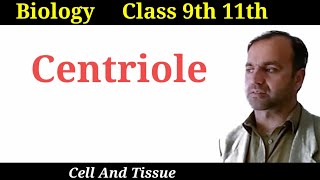 Centrioles  structure and function of centrioles  Class 9 and 11  Cell organelles [upl. by Glaab]