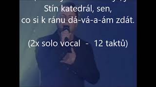 Stín katedrál Petr Muk karaoke lyrics [upl. by Annah150]