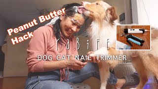 Dog Cat Nail Trimmer YABIFE Peanut Butter Trick To Cut Dog Nails [upl. by Weisler306]