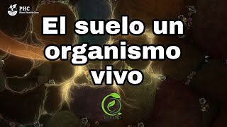 El suelo un organismo vivo [upl. by Gorlin]