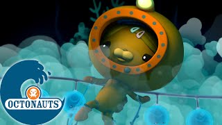 Octonauts  Grande Hauteur  Dessins animés pour enfants [upl. by Laurette]