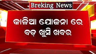 Kalia Yojana Big Update 28 March  Kalia Yojana Money  Odisha TV [upl. by Raffin]