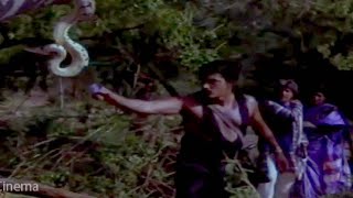 Shashikumar amp Snake Scene  Kannada Movie Scenes  Kannadiga Gold Films  Full HD [upl. by Welcher]