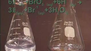 Bromate  Iodide Clock Reaction Lab [upl. by Modla257]