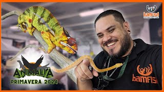 Nuestra Primer ANIMALIA 2024 [upl. by Carew402]