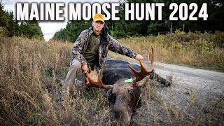 Quick Shot The Fastest Moose Hunt You’ll Ever See  Maine Moose Hunt 2024 [upl. by Germann840]