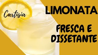 LIMONATA FATTA IN CASA RICETTA DELLA NONNA [upl. by Ahsayn526]