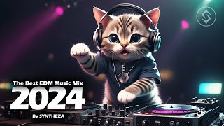 The Best EDM Music Mix 2024 🎧 By SYNTHEZA [upl. by Dannica]