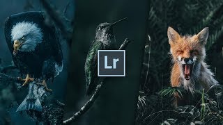 HOW TO EDIT LIKE DYLAN FURSTY on Instagram  Lightroom Moody Colorgrade  Matt n seb [upl. by Raffaj]