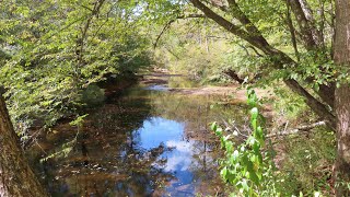 Riverside Preserve  Fauquier County Virginia [upl. by Ashman402]