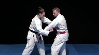 The Kihon Concept Part 10 Kihon kata  Bonus technique [upl. by Aisylla]