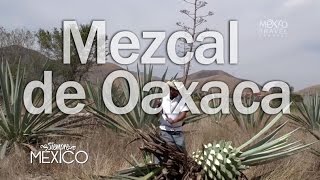 Siempre México  Oaxaca y su mezcal  2x04 [upl. by Serrano766]